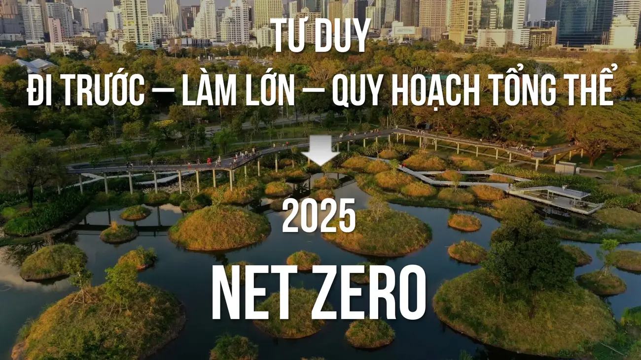Khi nào nên mua Charmora City để có lợi nhuận tối đa?