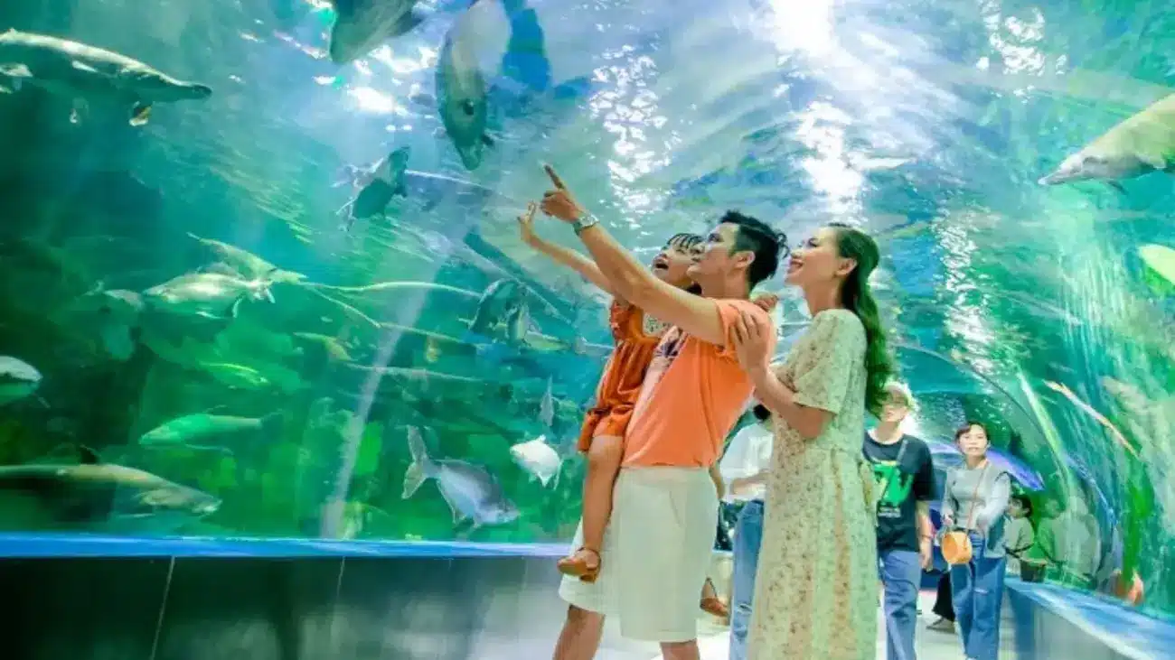 Gia đình tận hưởng thời gian vui vẻ tại thủy cung VinWonders Nha Trang, một trong những điểm du lịch nổi bật gần Charmora City.