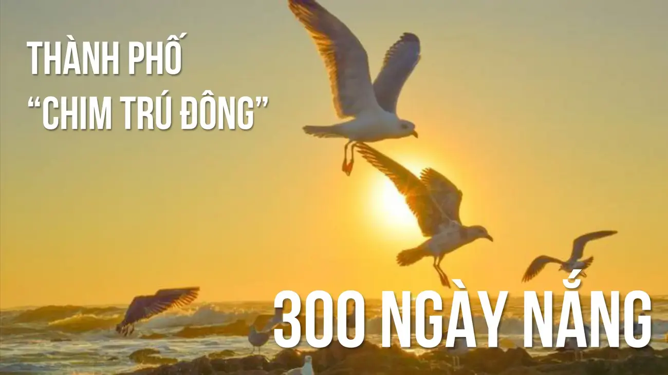 Thành phố biển Nha Trang – Hội tụ tiềm năng phát triển bất động sản nghỉ dưỡng mạnh mẽ.